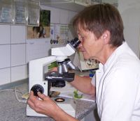 Untersuchung am Mikroskop